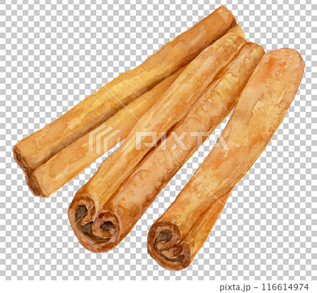 シナモン 3本 水彩イラスト シナモン 3本 水彩イラスト 116614974