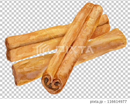 Cinnamon watercolor 116614977
