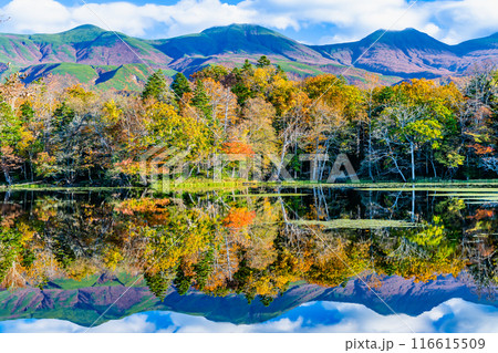北海道 紅葉の知床五湖　～水鏡の四湖と知床連山～ 116615509