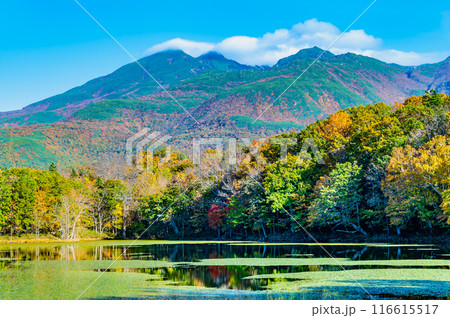 北海道 紅葉の知床五湖 ~水鏡の四湖と知床連山~ 北海道 紅葉の知床五湖 ~水鏡の四湖と知床連山~ 116615517