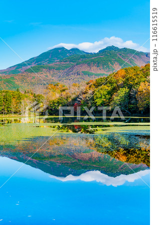 北海道 紅葉の知床五湖　～水鏡の四湖と知床連山～ 116615519