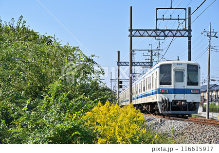 鉄道 私鉄:東武野田線 埼玉県春日部市 鉄道 私鉄:東武野田線 埼玉県春日部市 116615917
