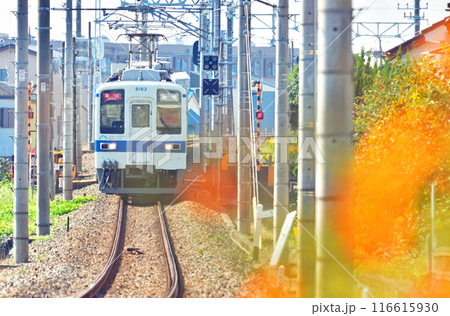 鉄道 私鉄:東武野田線 8000系 埼玉県春日部市 鉄道 私鉄:東武野田線 8000系 埼玉県春日部市 116615930