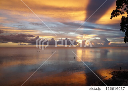 モーレア島の夕景 116616087
