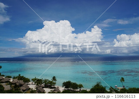 モーレア島　展望台からの眺め 116616113