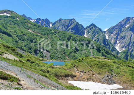 八方尾根から望む夏の北アルプス 116616460