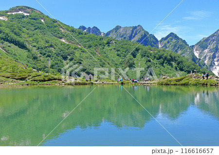 八方池と夏の北アルプス 116616657