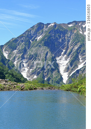 八方池と夏の北アルプス 116616803