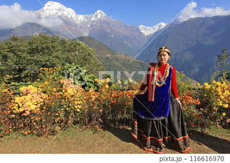 a girl with Gurung traditional dressing a Gurung village in Ghandruk town, Gandaki Province of Nepal, is a point of Annapurna circuit trek and Poonhill trekking in Nepal  116616970