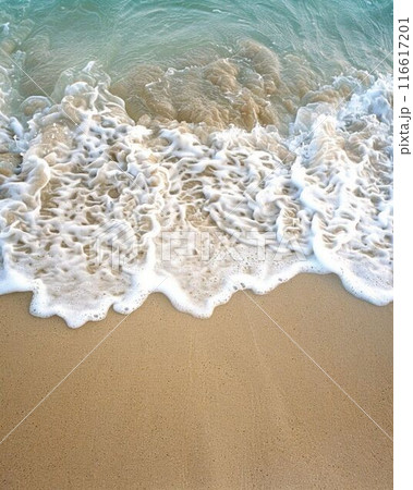 beautiful tropical beach sea and sand with coconut palm tree on the beach 116617201