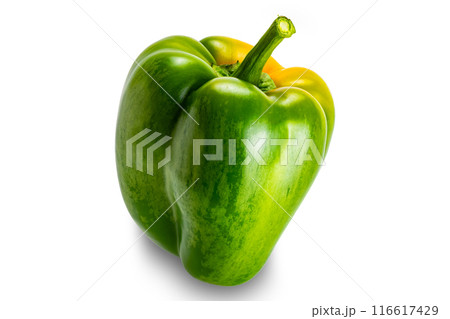 Closeup of single fresh green bell pepper, paprika. Closeup of single fresh green bell pepper, paprika. 116617429