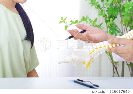 骨格模型で説明をする男性と患者の女性 116617640