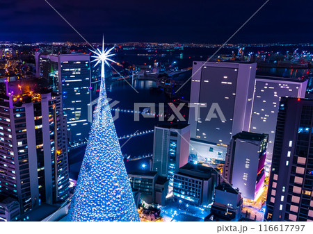 都心に設置された大きなクリスマスツリー 116617797