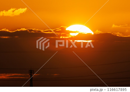 広大な河川敷の美しい日の出。日本国群馬県、利根川河川敷にて。 広大な河川敷の美しい日の出。日本国群馬県、利根川河川敷にて。 116617895