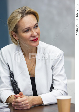 Female team leader at business meeting in office. Female team leader at business meeting in office. 116617897