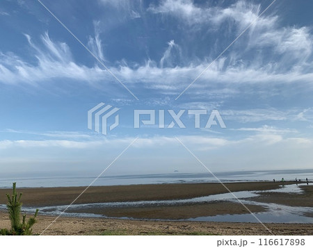 姫路白浜の海辺 姫路白浜の海辺 116617898