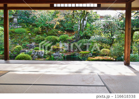 大原 実光院 契心園 美しい秋の紅葉(京都市左京区) 大原 実光院 契心園 美しい秋の紅葉(京都市左京区) 116618338