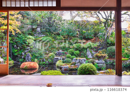 大原　実光院　契心園　美しい秋の紅葉（京都市左京区） 116618374