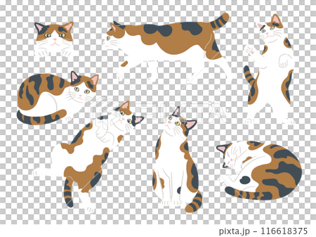 かわいい猫のさまざまなポーズのイラスト　三毛猫　バリエーション 116618375