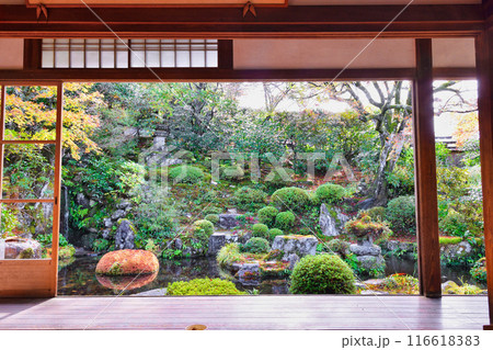 大原　実光院　契心園　美しい秋の紅葉（京都市左京区） 116618383