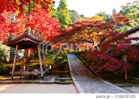 酬恩庵の紅葉の風景 一休寺の石畳の参道 京都の紅葉の名所 秋の京都観光スポット 酬恩庵の紅葉の風景 一休寺の石畳の参道 京都の紅葉の名所 秋の京都観光スポット 116618526