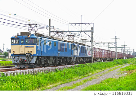 高崎線 行田ー熊谷 JR貨物 EF64-1040+EF64-1023(愛知) 高崎線 行田ー熊谷 JR貨物 EF64-1040+EF64-1023(愛知) 116619333