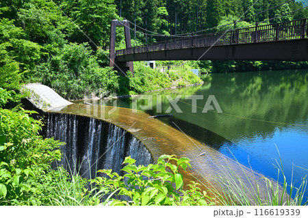 初夏の大源太キャニオン　湖・堰堤と鉄橋の風景　新潟県湯沢町　 116619339