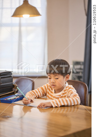 家で勉強する男の子 家で勉強する男の子 116619503