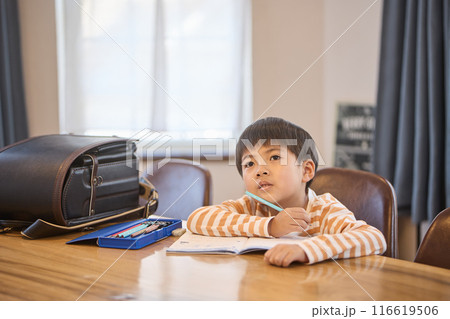 家で勉強する男の子 家で勉強する男の子 116619506