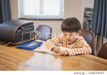 家で勉強する男の子 家で勉強する男の子 116619507