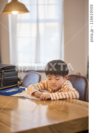 家で勉強する男の子 家で勉強する男の子 116619509