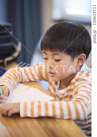 家で勉強する男の子 家で勉強する男の子 116619511