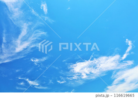 秋の青空と雲 116619665