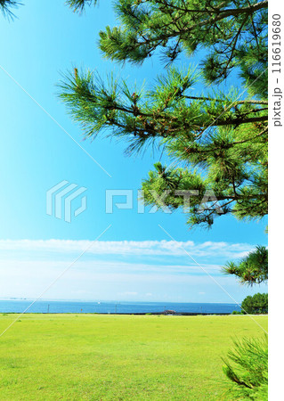 千葉県　新浦安　青空の海の見える公園 116619680
