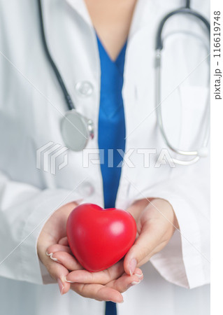 Doctor hand holding red heart shape in hospital. love, donor, world heart day, world health day, CSR donation and Insurance concepts 116619748