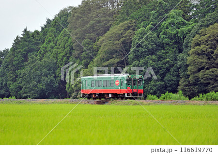 真岡鐵道 寺内ー真岡 モオカ14-8 真岡鐵道 寺内ー真岡 モオカ14-8 116619770
