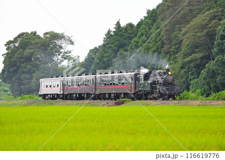 真岡鐵道 寺内ー真岡 C12-66+50系 真岡鐵道 寺内ー真岡 C12-66+50系 116619776