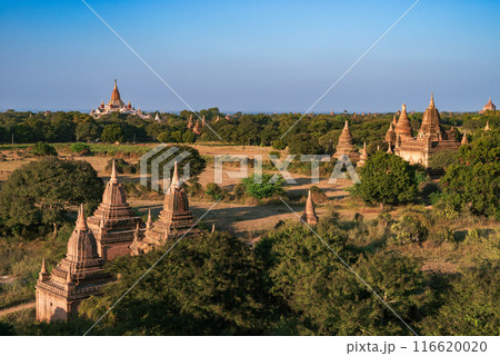 The Temples of bagan at sunrise, Bagan, Myanmar 116620020