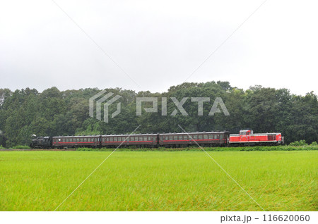 真岡鐵道 寺内ー真岡 DE10-1535+50系+C12-66 真岡鐵道 寺内ー真岡 DE10-1535+50系+C12-66 116620060