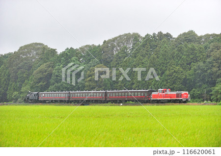 真岡鐵道　寺内ー真岡　DE10-1535＋50系＋C12-66 116620061