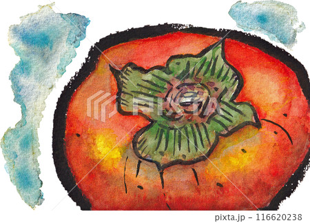 手描きの水彩画(絵手紙)「熟した柿」 116620238