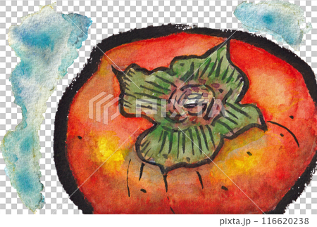手描きの水彩画(絵手紙)「熟した柿」 116620238