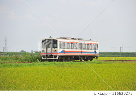 関東鉄道　常総線　南石下ー三妻　キハ2404 116620273