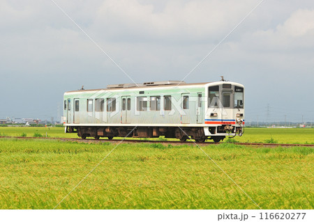 関東鉄道　常総線　南石下ー三妻　キハ2401 116620277