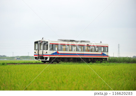 関東鉄道　常総線　南石下ー三妻　キハ2403 116620283