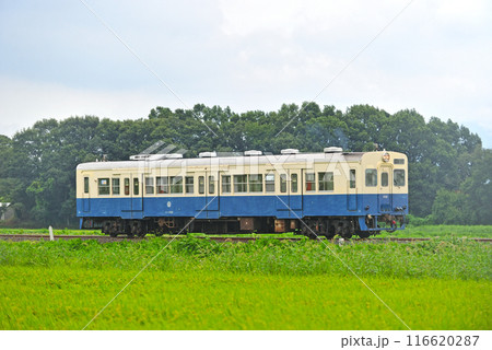 関東鉄道　常総線　大宝ー下妻　キハ102 116620287