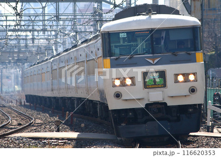 高崎線を行く特急草津号：185系電車 116620353