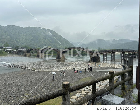 雨にかすむ錦帯橋 雨にかすむ錦帯橋 116620354