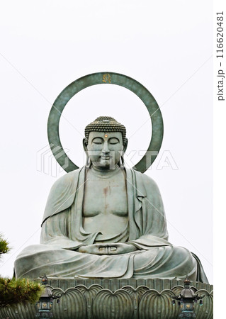 高岡大仏　日本三大佛　阿弥陀如来坐像　日本一の美男　富山県観光スポット　 116620481