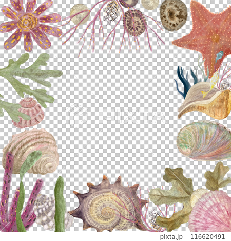 Shells underwater creatures frame in watercolor hand-drawn isolated on white. High quality art for notebooks, scrapbooking, stickers, fishing, cards, guides, invitations, tourism, tickets and booklets Shells underwater creatures frame in watercolor hand-drawn isolated on white. High quality art for notebooks, scrapbooking, stickers, fishing, cards, guides, invitations, tourism, tickets and booklets 116620491